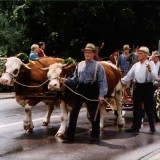 Bezirksmusikfest 1997 in Illmensee