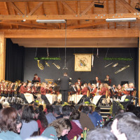 dsc 0907