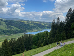 6af1d3d7 0c86 4f13 9176 b79431607ce3