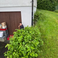 img 0099