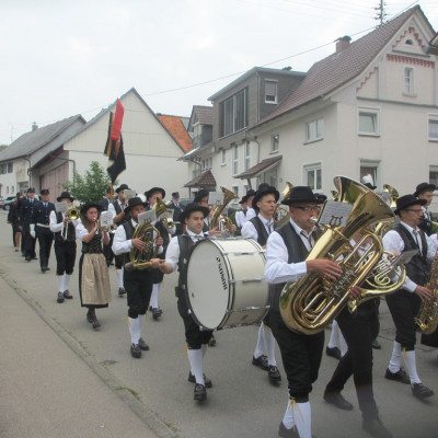 IMG 7355