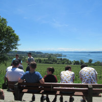 IMG 2019