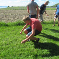 IMG 2079