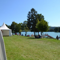 DSC 0941