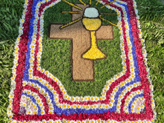 106a5fe7 ed85 482a be92 596a8980b80d